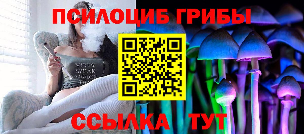 Псилоцибиновые грибы Cubensis  Вход с VPN  продажа наркотиков  Белгород 